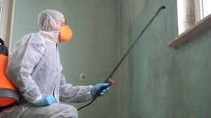 Best Emergency Mold Remediation  in Hampton, AR